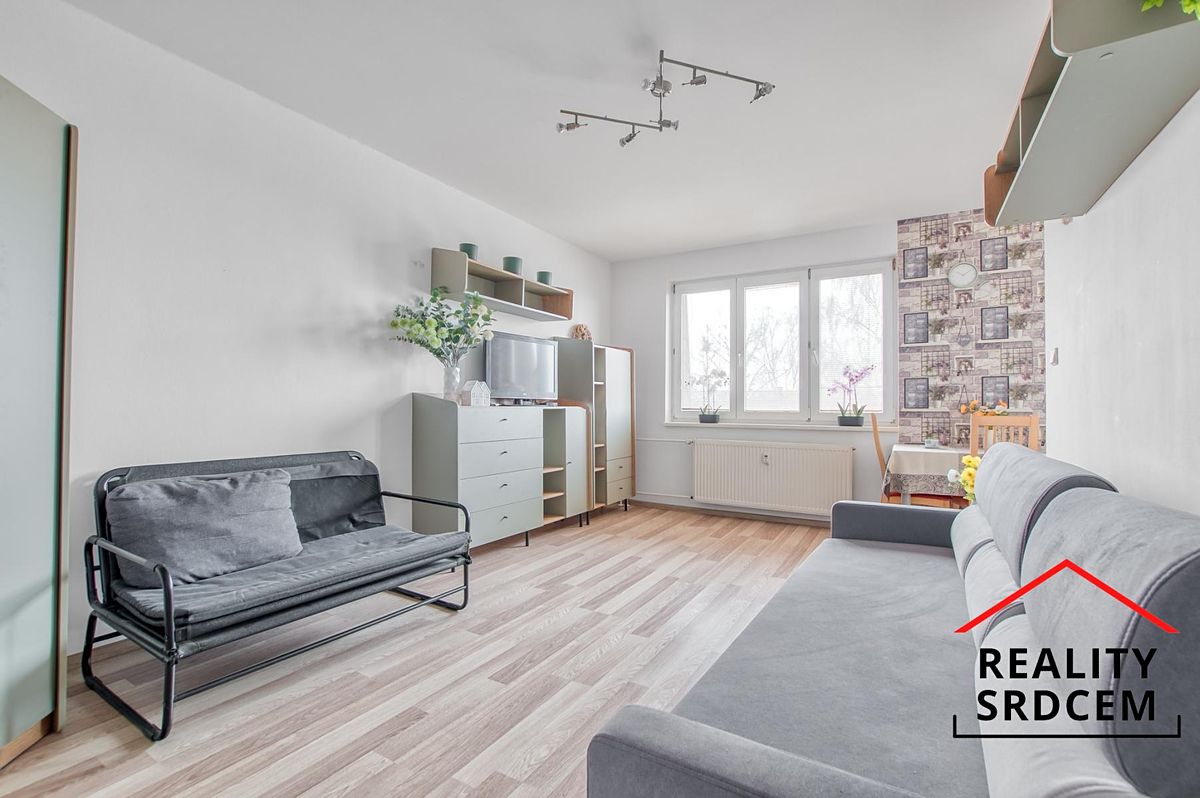 Pronájem bytu 1+1 38 m²