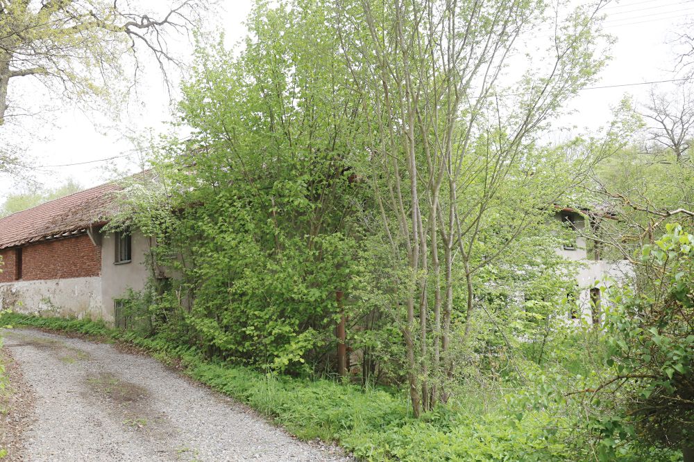 Prodej pozemku 70924 m² – fotografie 3