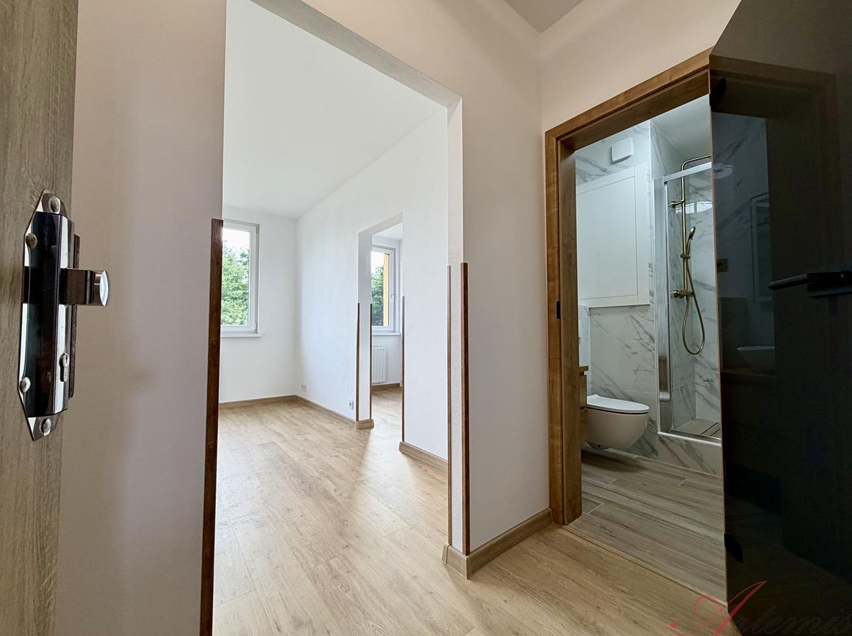 Pronájem bytu 2+1 45 m² – fotografie 3