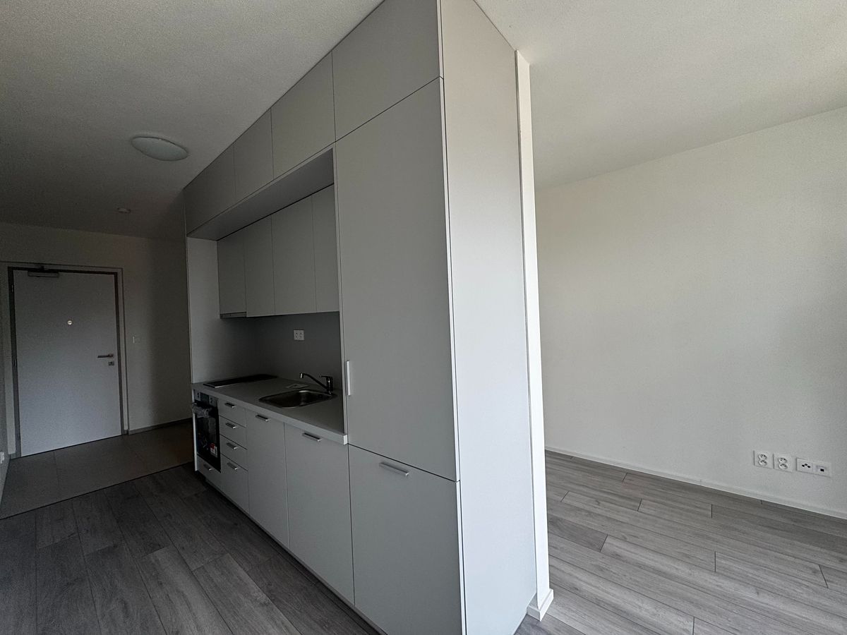 Pronájem bytu 1+kk 34 m² – fotografie 2