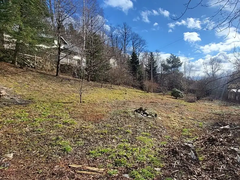 Prodej stavebního pozemku 1760 m², Třemešná – náhled fotky 3