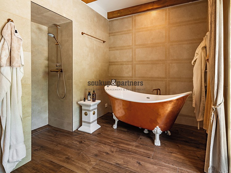 Prodej domu, 1 079 m² (14 z 27)