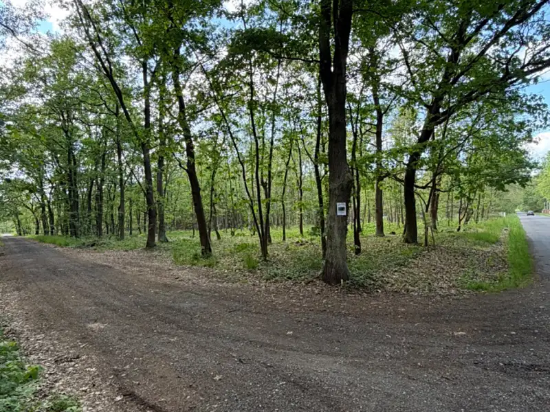 Prodej stavebního pozemku 3470 m², Hradištko – náhled fotky 1
