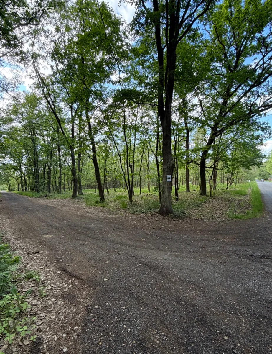 Prodej stavebního pozemku 3470 m², Hradištko