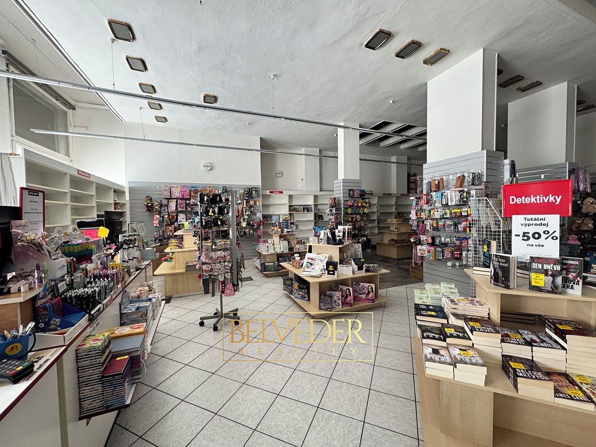 Pronájem obchodního prostoru 441 m² – fotografie 3