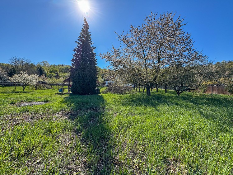Grundstück zum Kauf, 743 m² (10 von 14)
