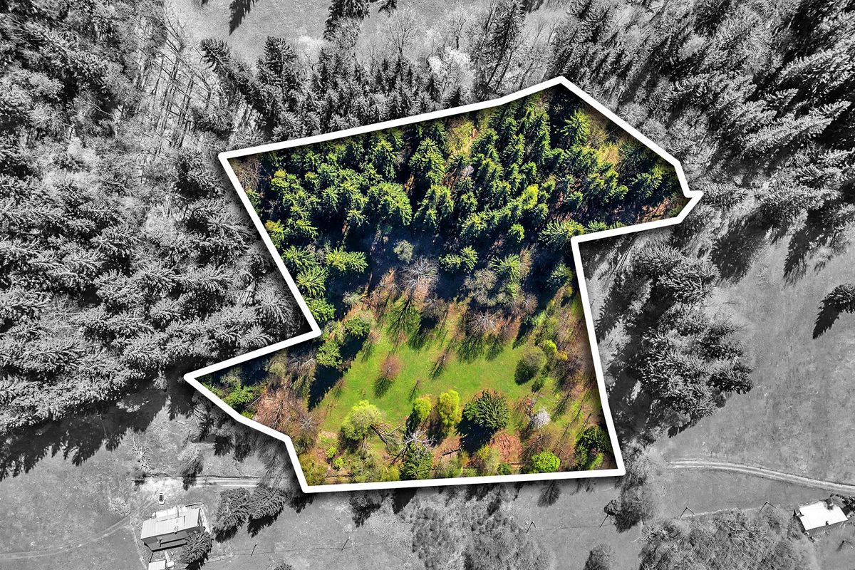 Prodej stavebního pozemku 21708 m² – fotografie 3
