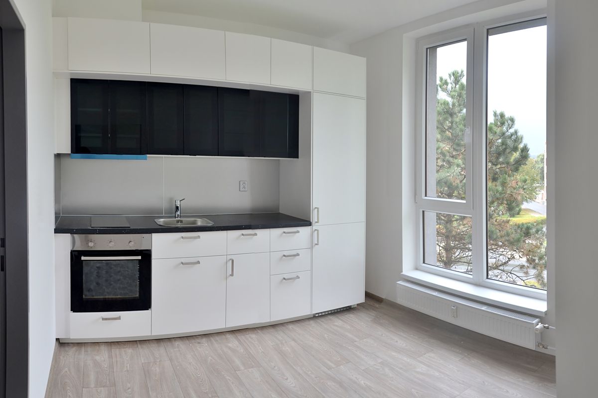 Pronájem bytu 1+1 34 m²