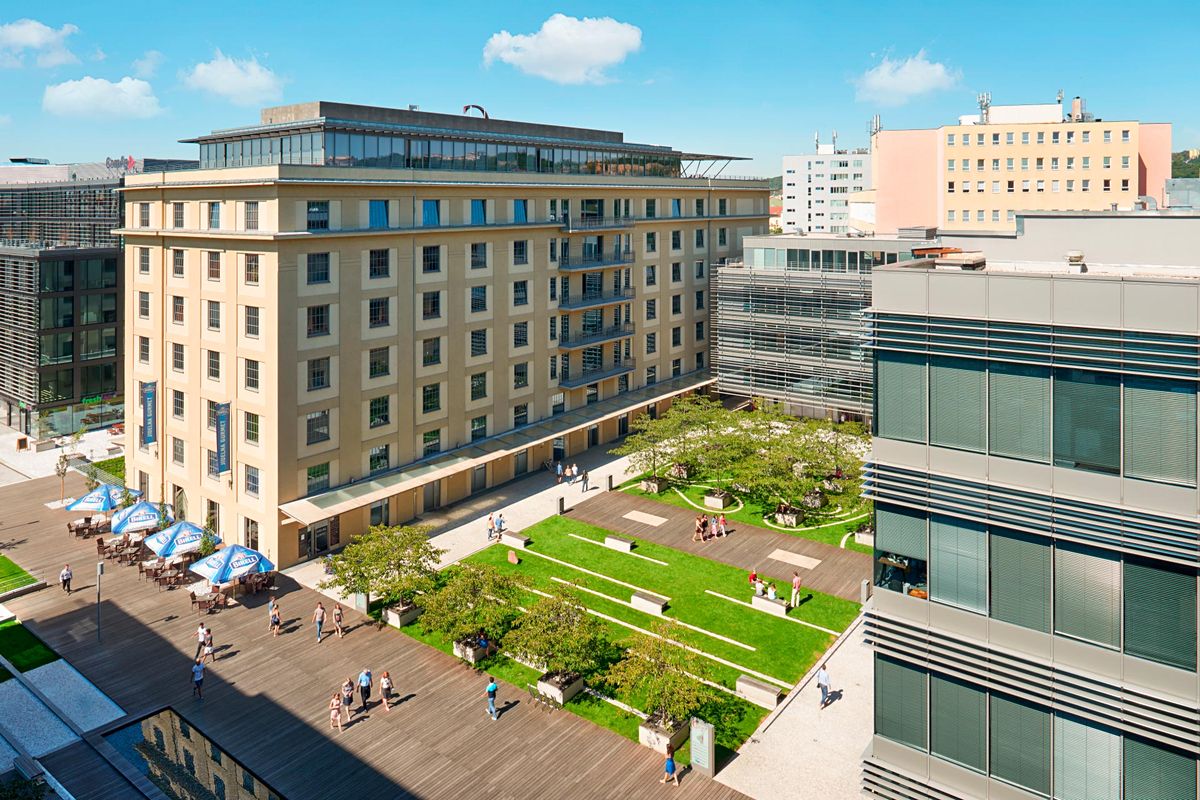 Pronájem kanceláře 650 m²