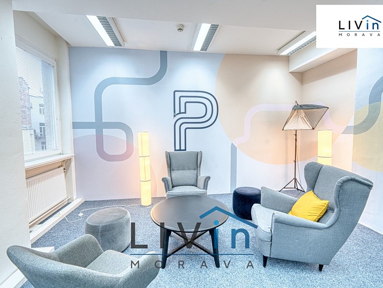 Pronájem komerčního prostoru, 128 m² (2 z 23)