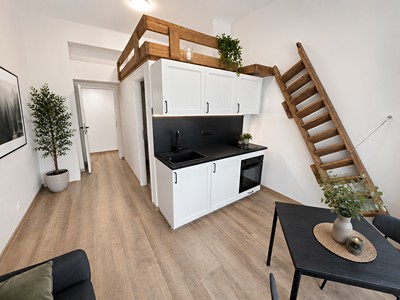 Pronájem bytu 1+kk 25 m²