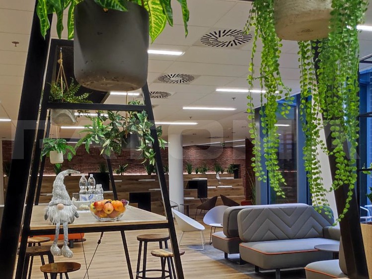 Gewerbefläche zur Miete, 708 m² (5 von 12)