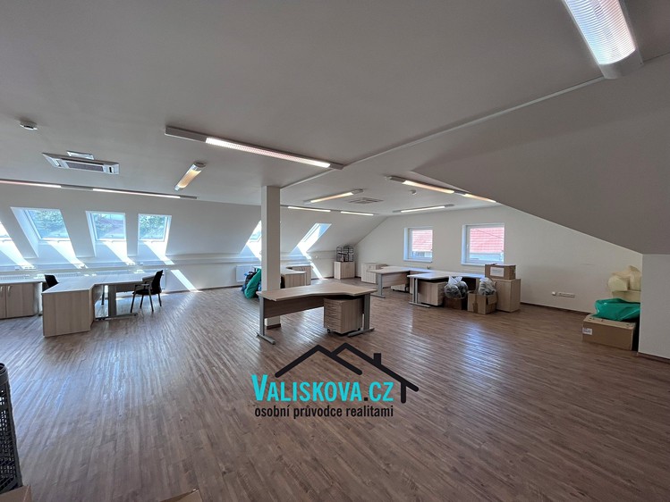 Gewerbefläche zur Miete, 300 m² (11 von 26)