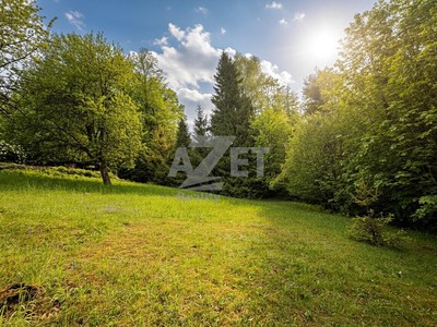 Prodej  stavebního pozemku 2 937 m²