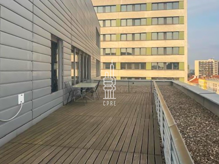 Pronájem komerčního prostoru, 707 m² (7 z 9)
