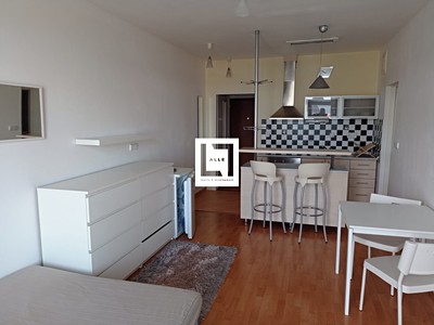 Pronájem bytu 1+kk 37 m²