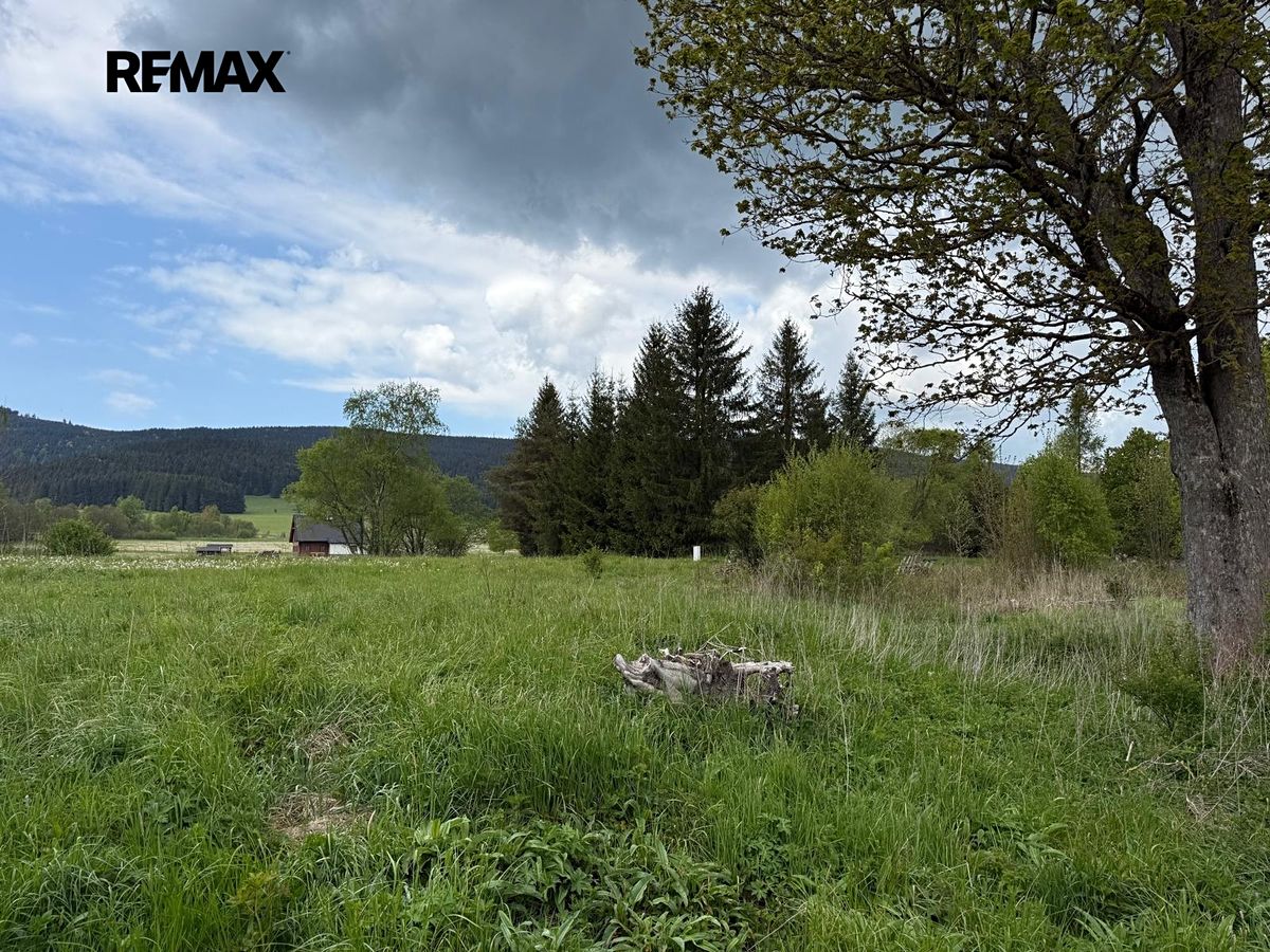 Prodej stavebního pozemku 1444 m² – fotografie 3