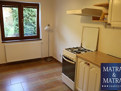 Pronájem bytu 1+1 42 m²