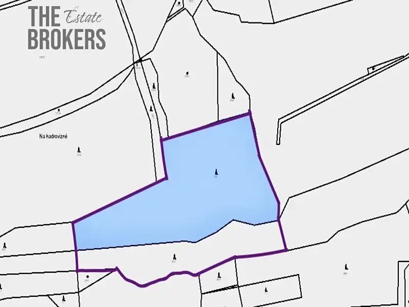 Prodej lesa 21836 m², Hracholusky – náhled fotky 3