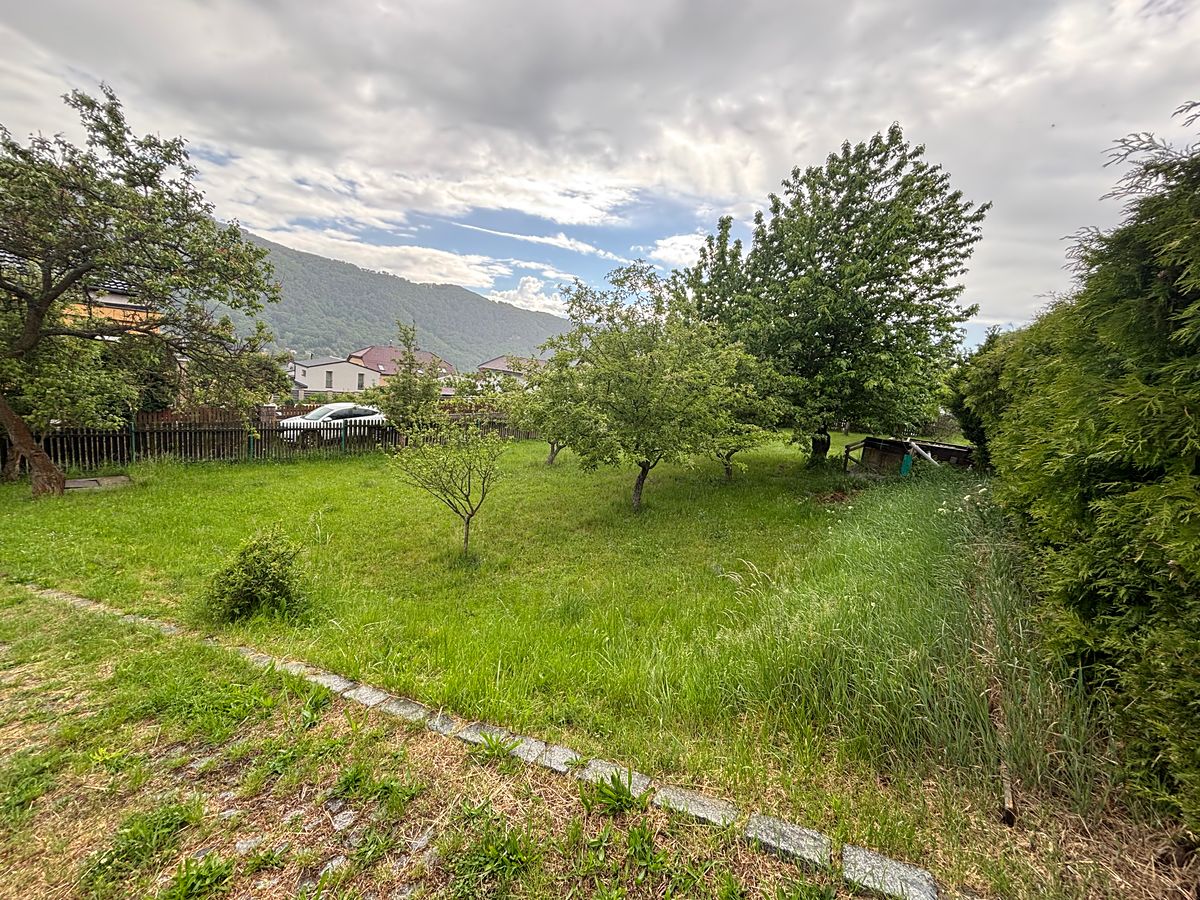 Prodej rodinného domu 300 m², pozemek 1770 m² – fotografie 4