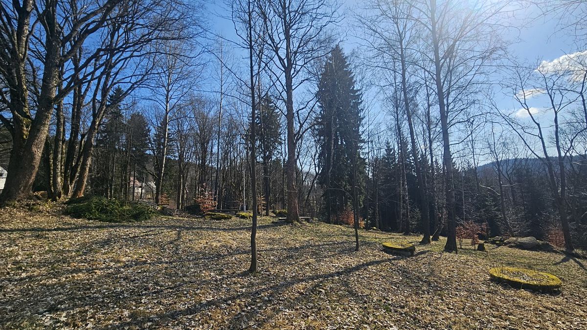 Prodej stavebního pozemku 11396 m² – fotografie 3