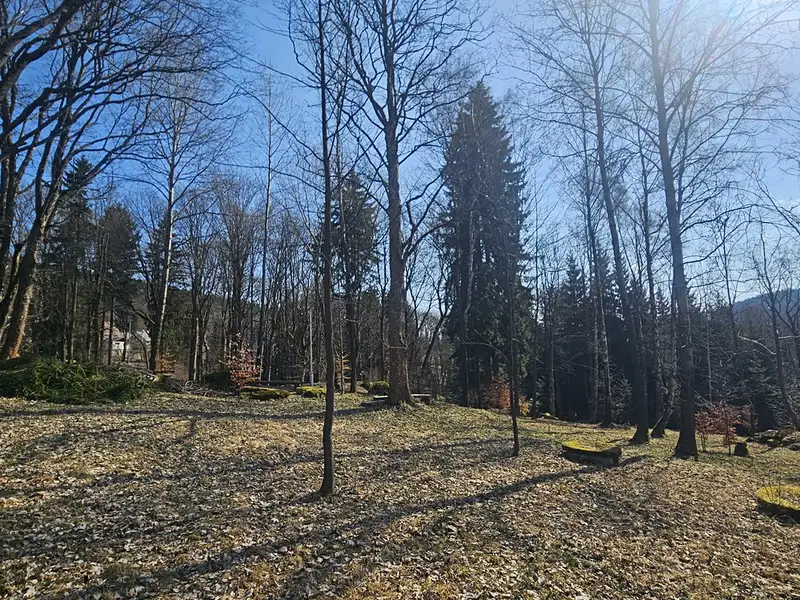 Prodej stavebního pozemku 11396 m², Janov nad Nisou – náhled fotky 3