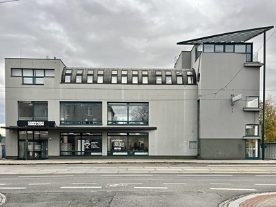 Gewerbefläche zur Miete, 161 m² (3 von 6)