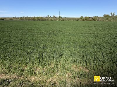 Prodej pole 6042 m²