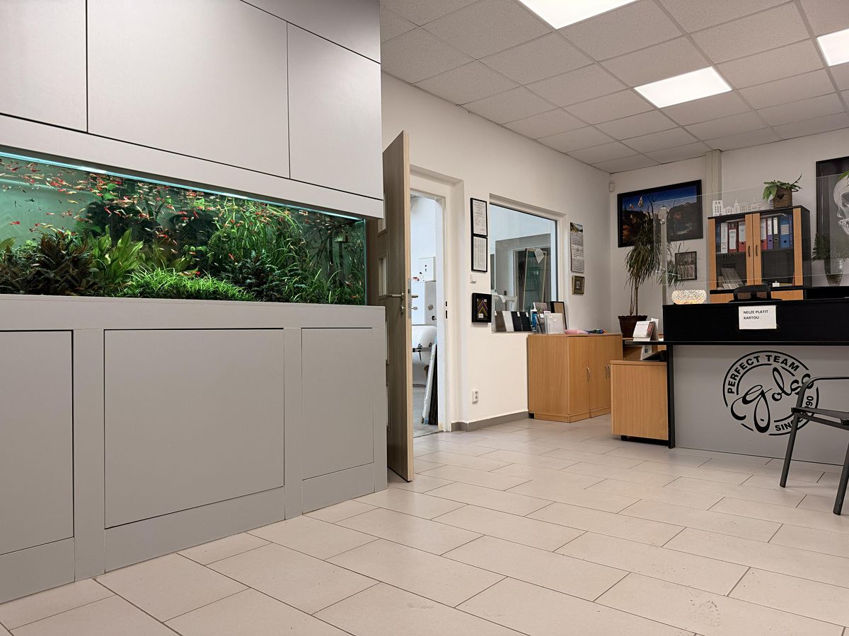 Prodej obchodního prostoru 420 m² – fotografie 2