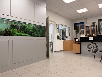 Prodej komerčního prostoru, 420 m² (2 z 24)