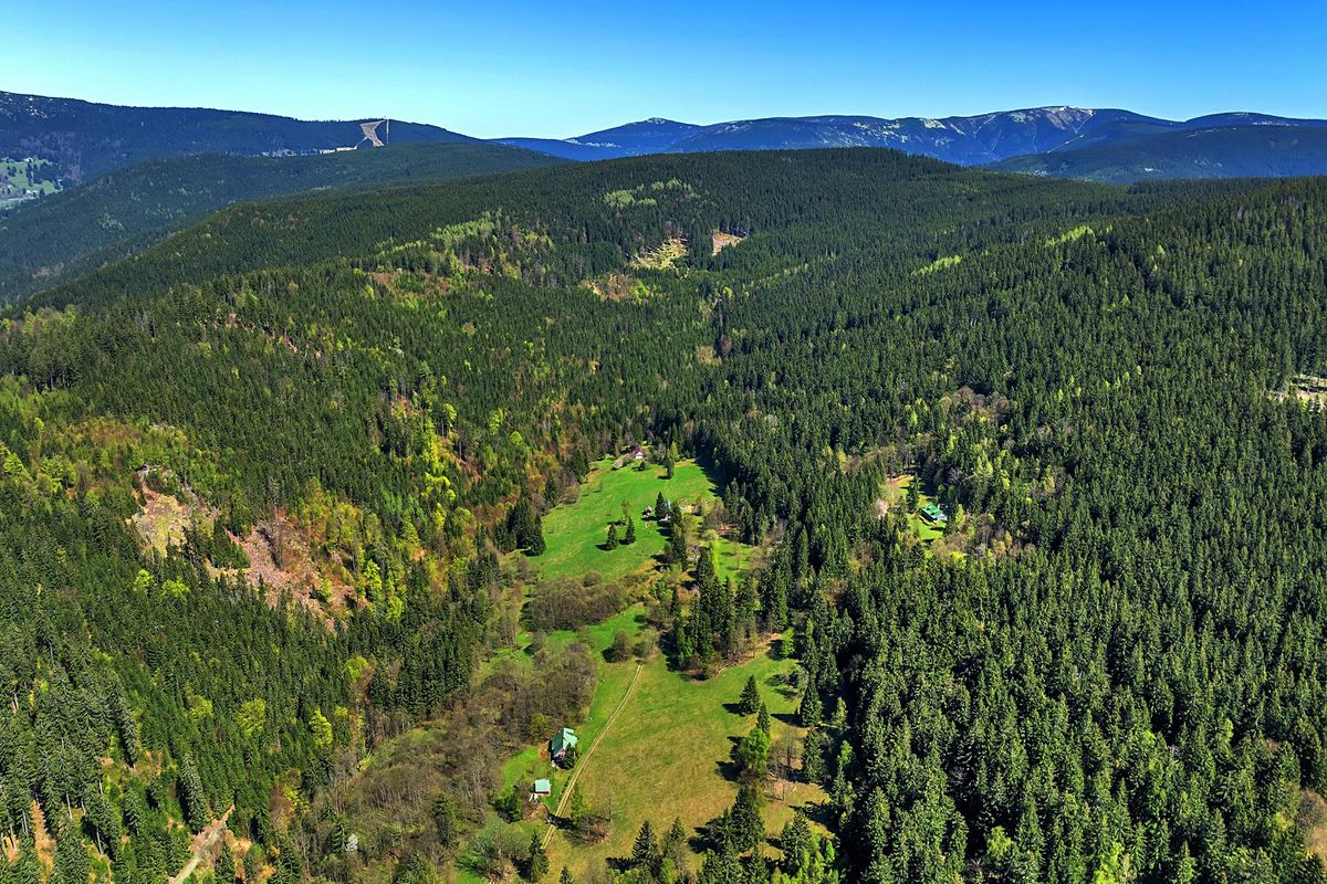 Prodej stavebního pozemku 21708 m² – fotografie 2