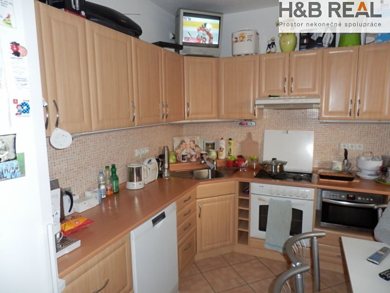 Prodej rodinného domu 480 m², pozemek 483 m² – fotografie 4