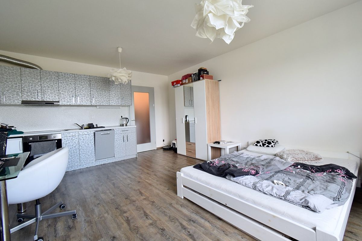 Pronájem bytu 1+kk 30 m²