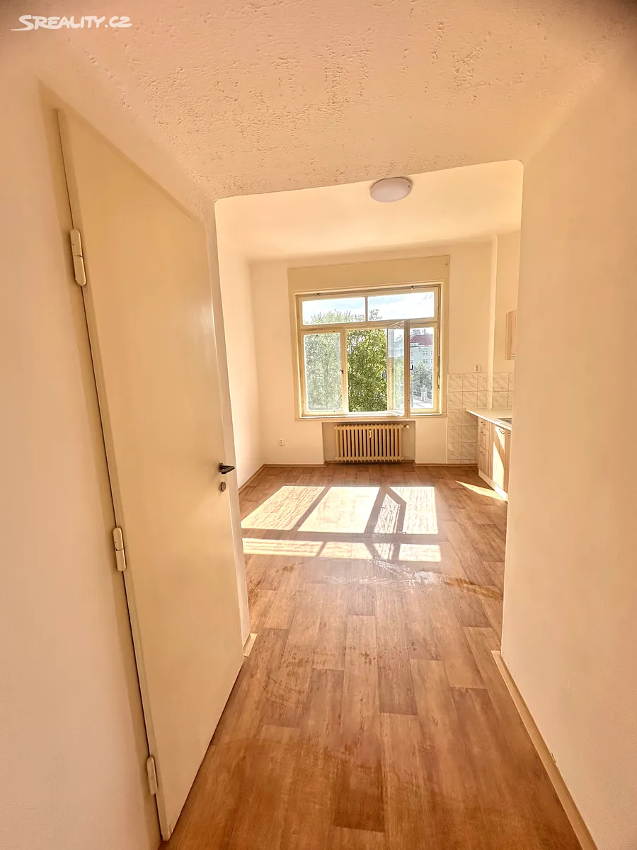 Pronájem bytu 2+1 66 m² - Widok 6