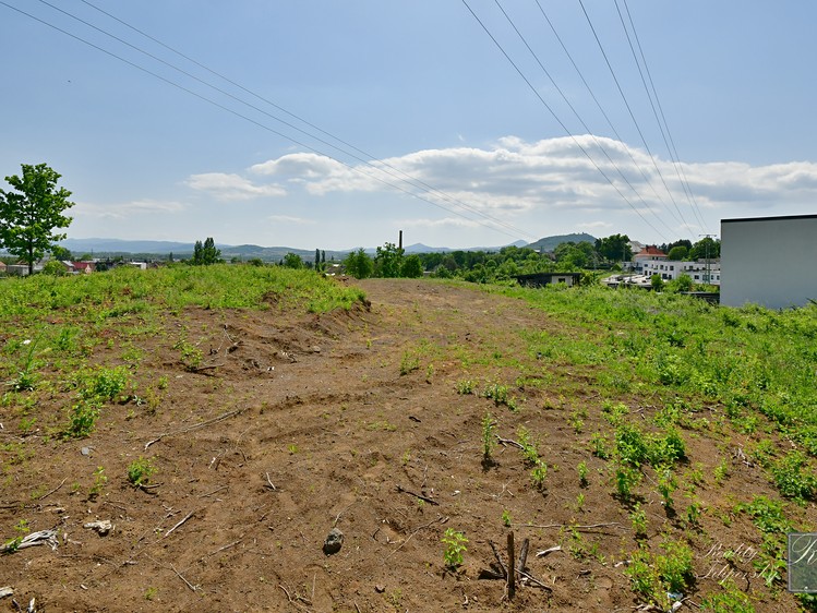 Grundstück zum Kauf, 779 m² (1 von 9)