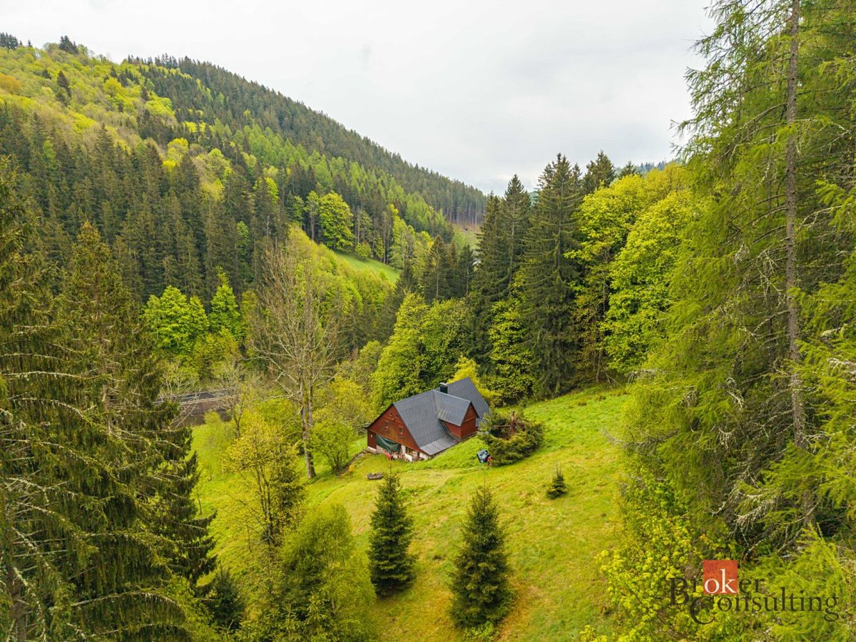 Prodej chalupy 250 m², pozemek 4135 m² – fotografie 5
