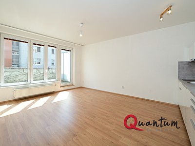 Pronájem bytu 1+kk 46 m²
