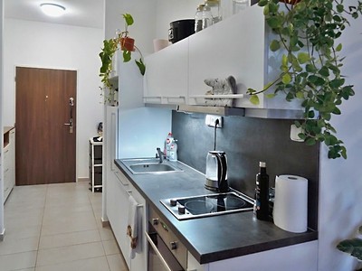 Pronájem bytu 1+kk 42 m²