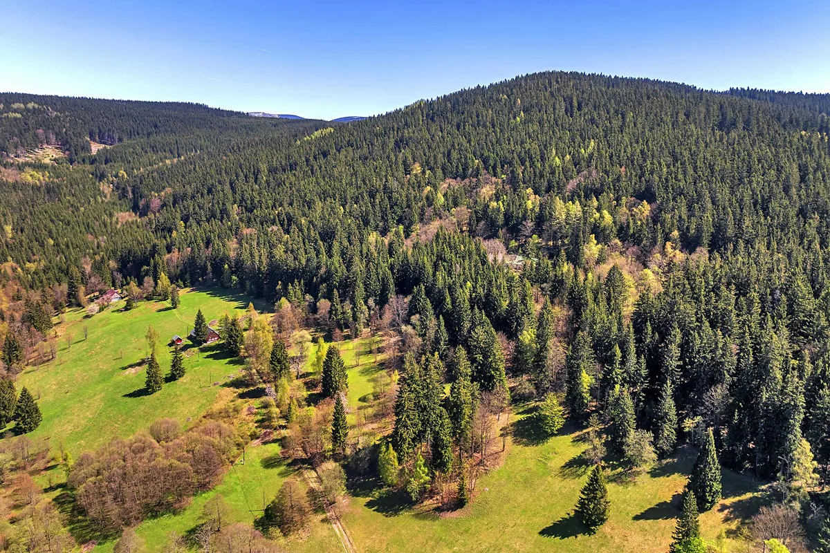 Fotka 16 z 17