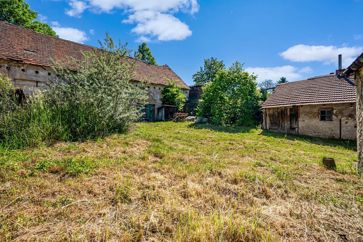 Prodej rodinného domu 142 m², pozemek 1434 m² – fotografie 5