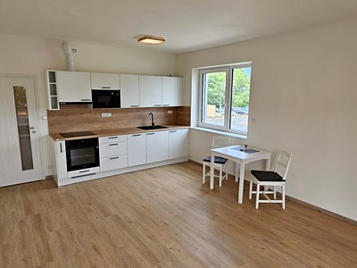 Pronájem bytu 1+kk 46 m²