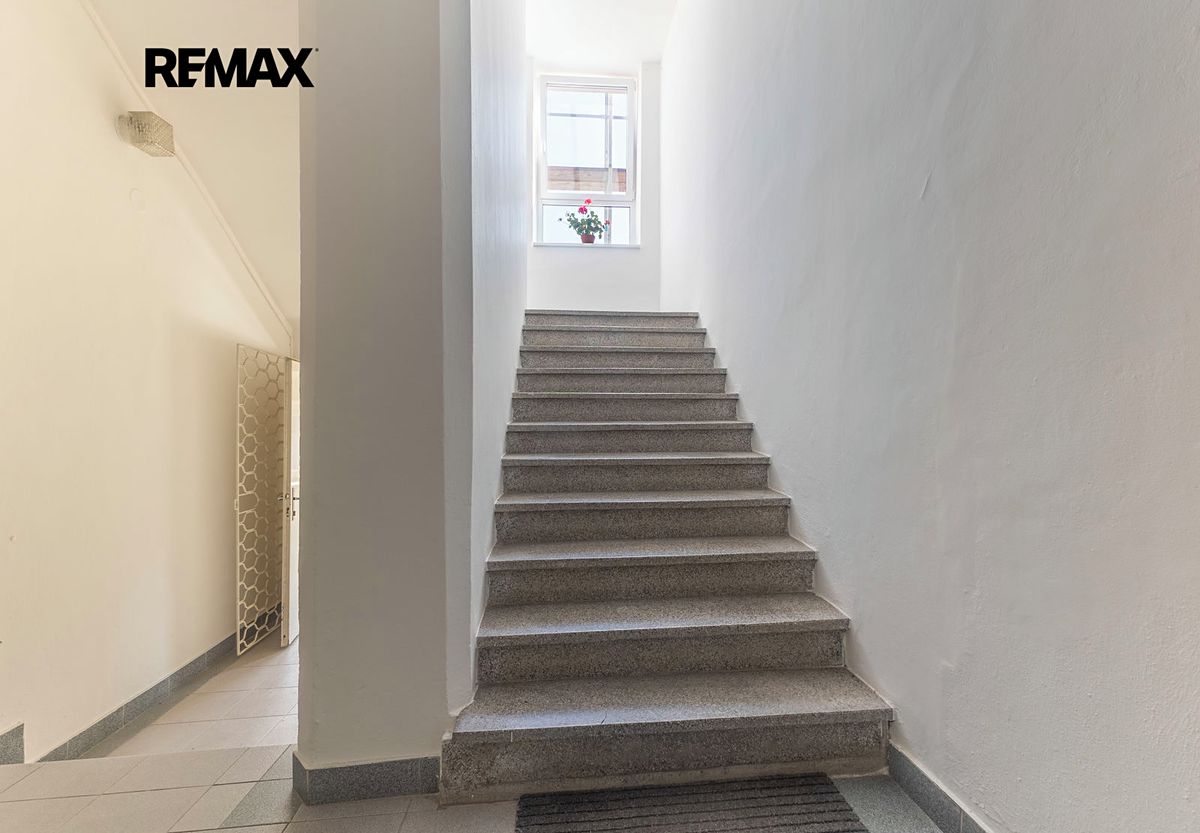 Prodej rodinného domu 700 m², pozemek 966 m² – fotografie 5