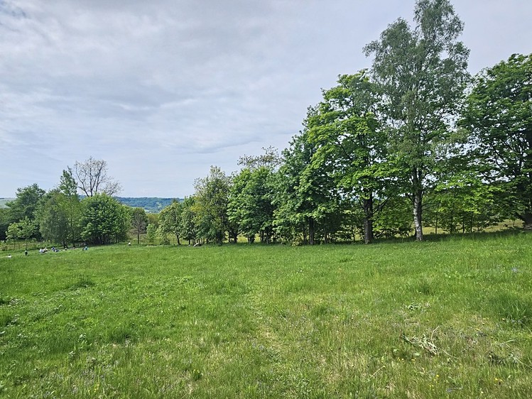 Grundstück zum Kauf, 2.075 m² (5 von 9)