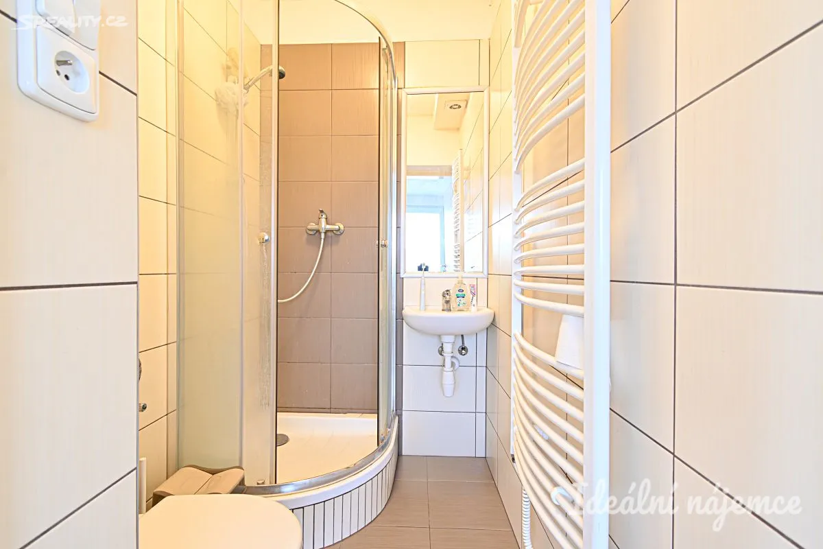 Pronájem bytu 1+kk 22 m² – pohled 6