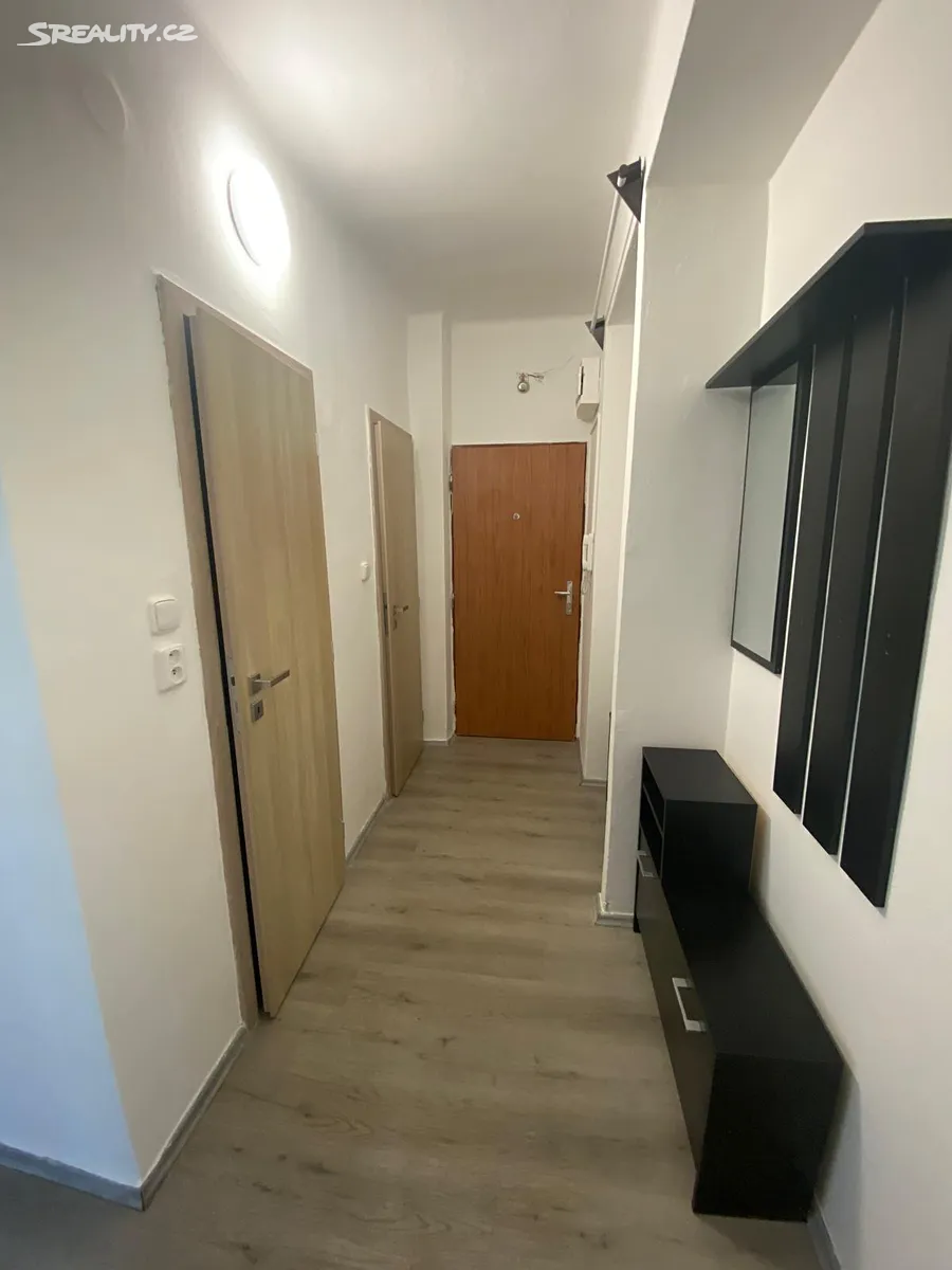 Pronájem bytu 2+1 50 m² – pohled 3