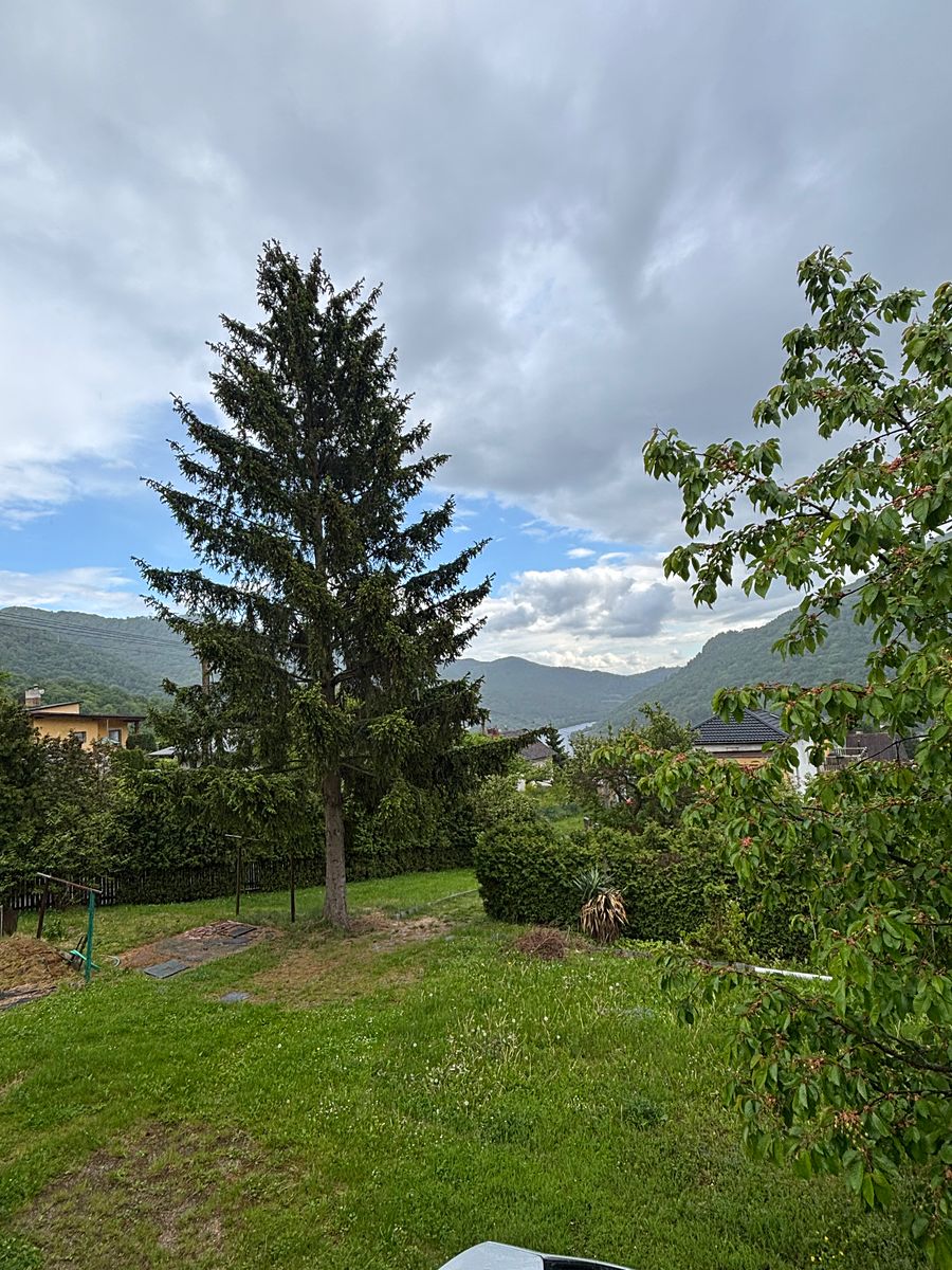 Prodej rodinného domu 300 m², pozemek 1770 m² – fotografie 5
