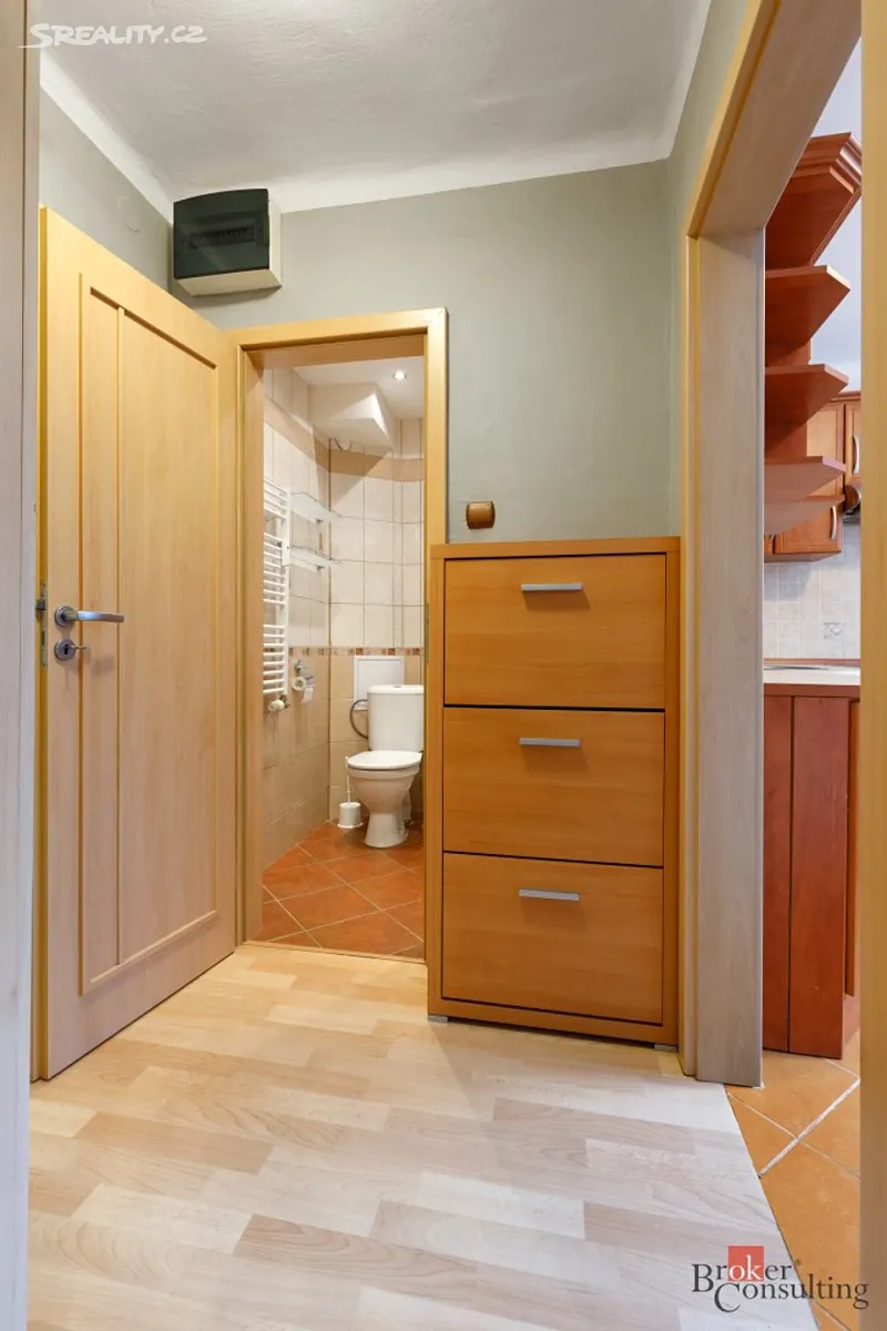 Pronájem bytu 1+1 30 m² – další