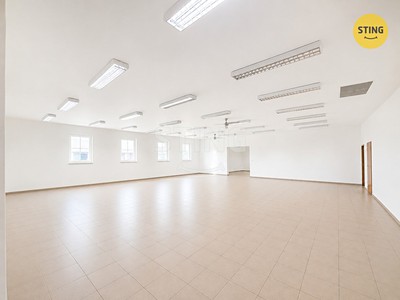 Комерційне приміщення в оренду, 150 м² (3 з 11)
