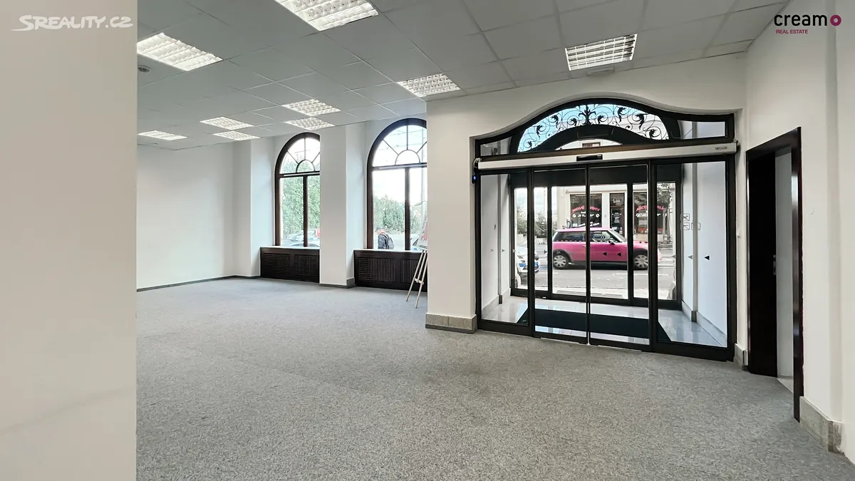 Pronájem obchodního prostoru 192 m² - Widok 5