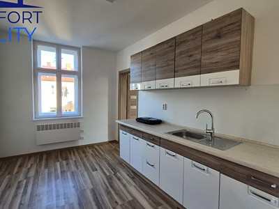 Pronájem bytu 1+1 45 m²